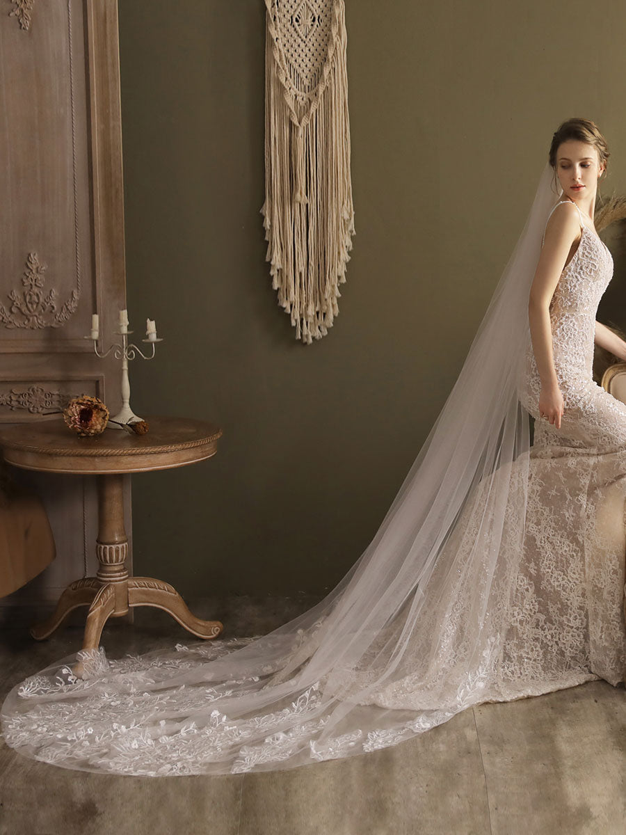Ivory One-Tier Tulle Lace Applique Edge Waterfall Long Wedding Veil