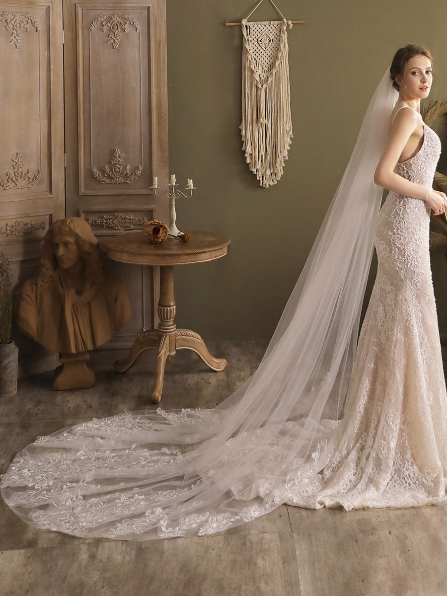 Ivory One-Tier Tulle Lace Applique Edge Waterfall Long Wedding Veil