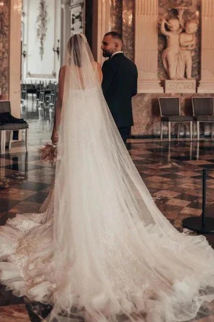 Luxury Long Mermaid Spaghetti Straps Glitter Wedding Dresses With Lace (ZD14492)