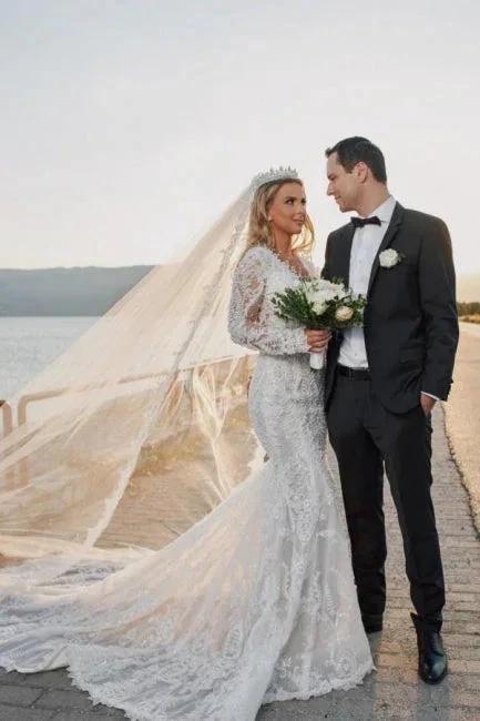 Noble vneck longsleeves mermaid lace Wedding dresses (ZD14879)
