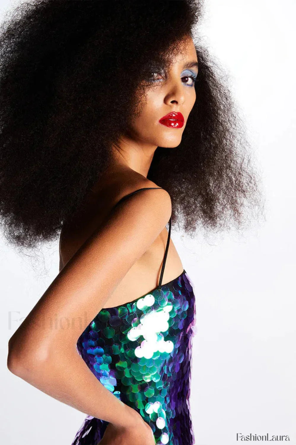 Phoenix Midi Stylish Dress in Sequins