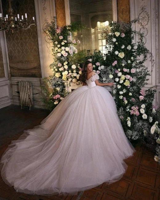 Princess Luxury Wedding Dresses Glitter with Lace (ZD16435)