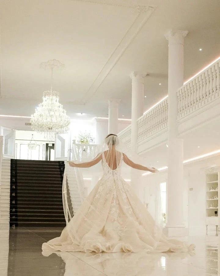 Sexy Long A-Line V-neck Spaghetti Straps Appliques Lace Backless Wedding Dress (ZD14289)