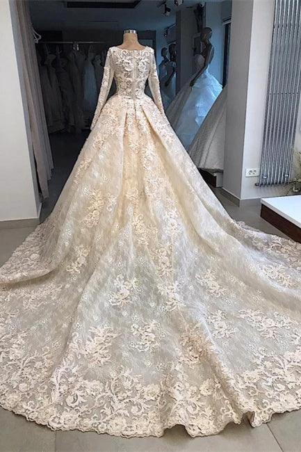 Vintage wedding dress with lace | Wedding dress with sleeves (ZD13915)